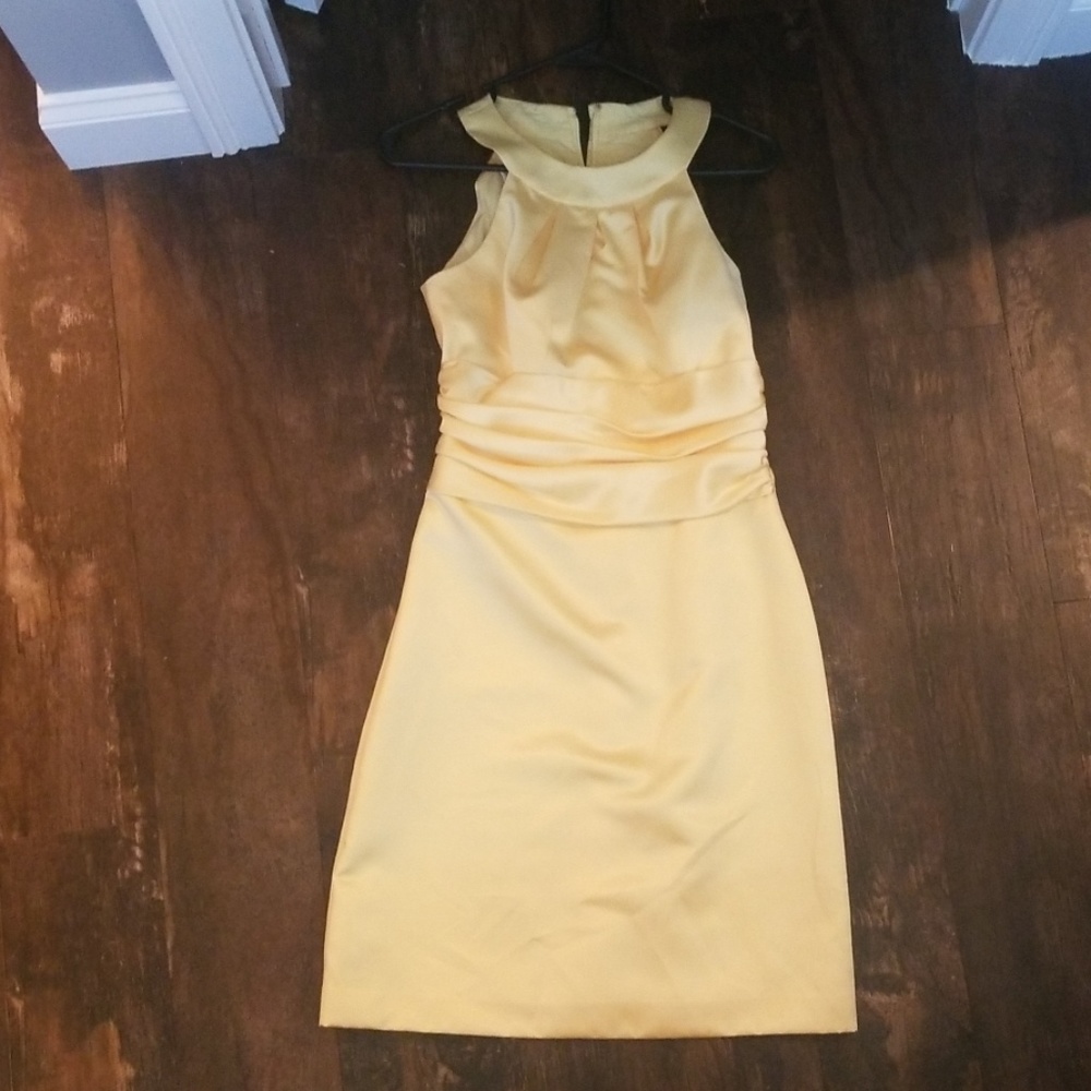 David’s Bridal Bridesmaid dress